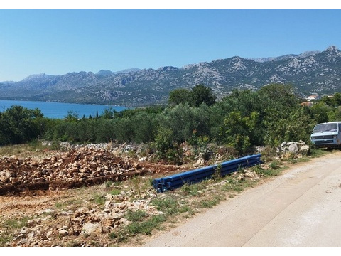 panorama-scouting-G462-4