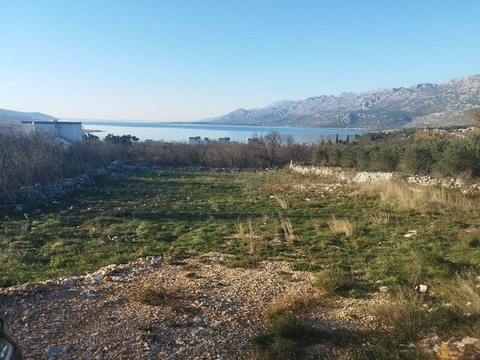 panorama-scouting-G462-3