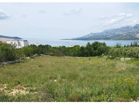panorama-scouting-G462-5
