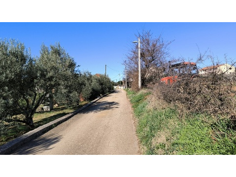 panorama-scouting-G486-2