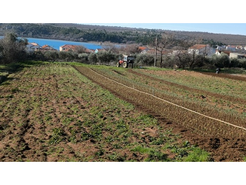 panorama-scouting-G486-6