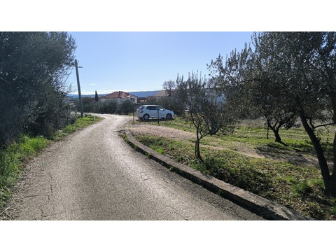 panorama-scouting-G486-1