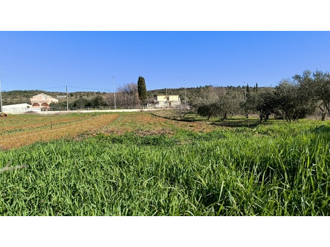 panorama-scouting-G486-3