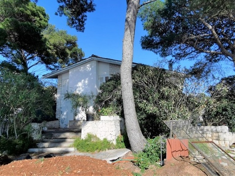 panorama-scouting-G413-2