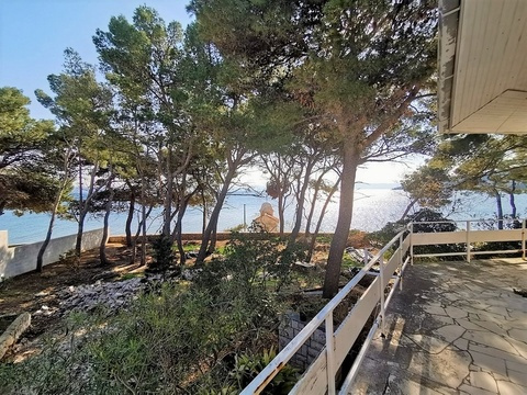 panorama-scouting-G413-7