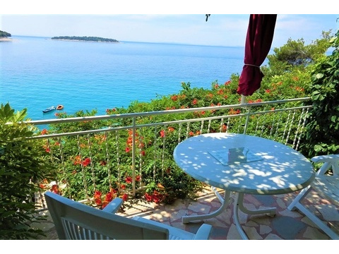 panorama-scouting-H3915-7