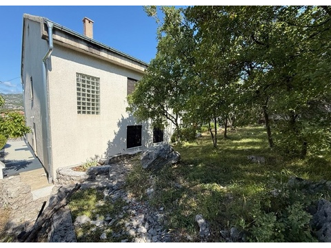 panorama-scouting-H4091-6