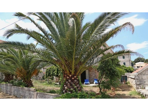 panorama-scouting-H4116-25