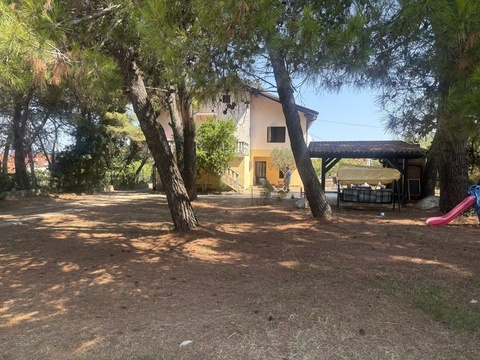 13-panorama-scouting-H4137-25
