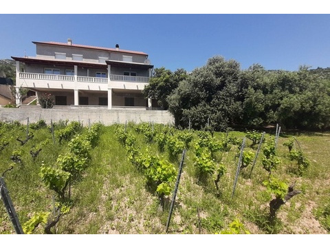 02-panorama-scouting-H4124-3