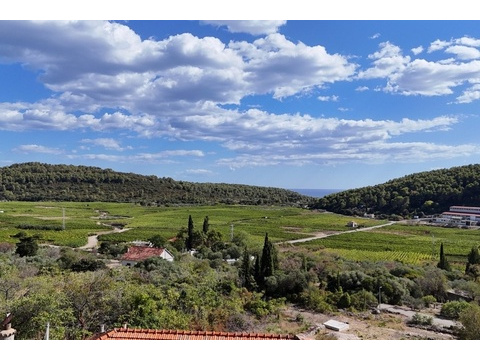 03-panorama-scouting-H4131-15