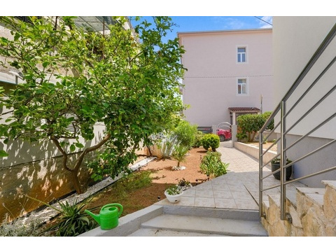 Garten mit Weg und Pflanzen