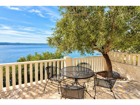 Terrasse mit Olivenbaum und Blick auf das Meer
