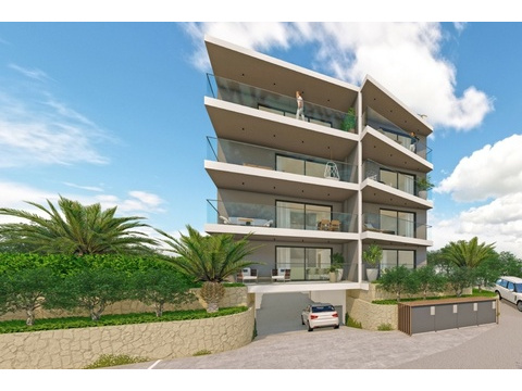 Hausfront mit Garageneinfahrt zwischen Palmen