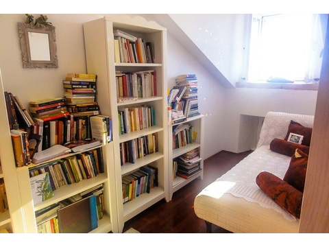 Bibliothek mit Bücherregalen und Liege