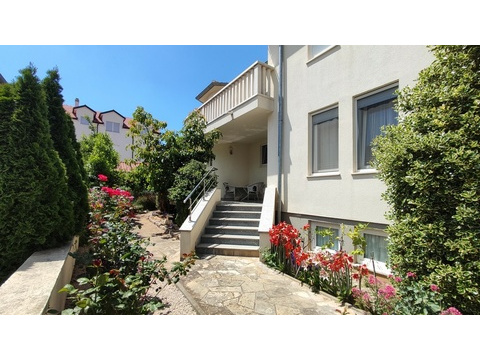 Seiteneingang mit Treppe und Rosen