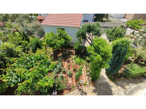 Garten mit Obstbäumen und Kräutern
