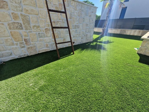 Garten mit Kunstrasen und Palme