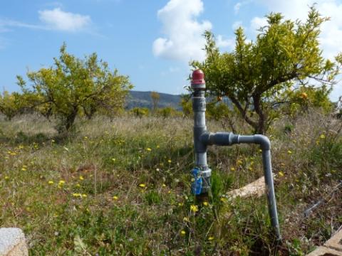 Grundstück kaufen in Pedreguer, 2.800 m² Grundstück