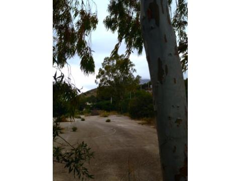 Grundstück kaufen in Denia, 7.800 m² Grundstück