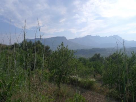 Grundstück kaufen in Benissa, 26.454 m² Grundstück