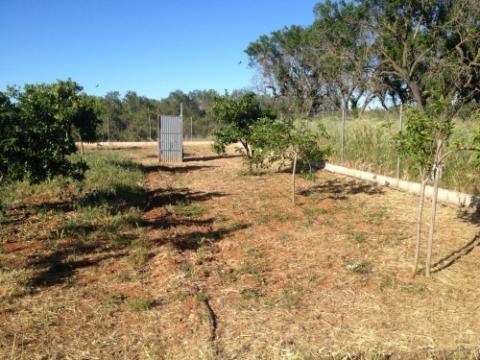 Grundstück kaufen in Denia, 1.720 m² Grundstück