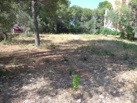 Grundstück kaufen in Denia, 923 m² Grundstück