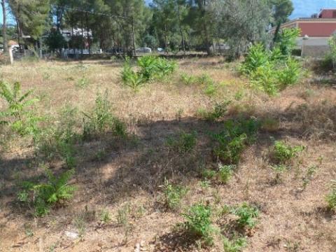 Grundstück kaufen in Denia, 923 m² Grundstück
