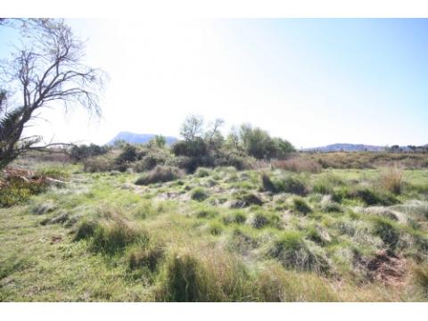 Grundstück kaufen in Denia, 14.000 m² Grundstück