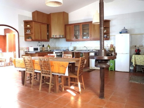 Einfamilienhaus kaufen in Usseira, 343 m² Grundstück