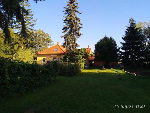 Bild...