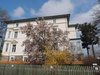 Dachgeschosswohnung mieten in Werdau, 125 m² Wohnfläche, 4 Zimmer
