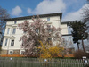Wohn und Geschäftshaus kaufen in Werdau, mit Stellplatz