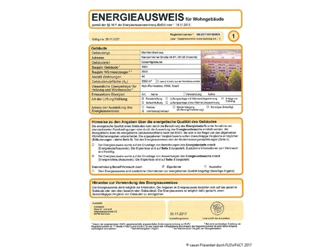 Energieausweis_1