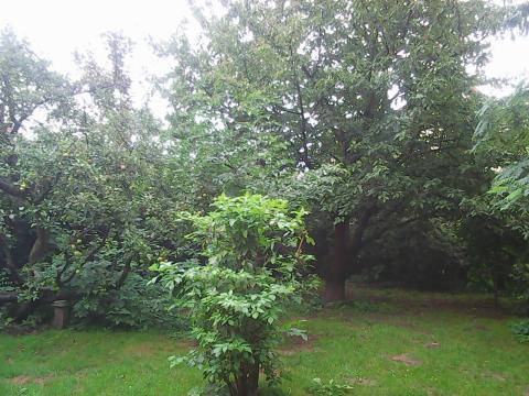 Bild...