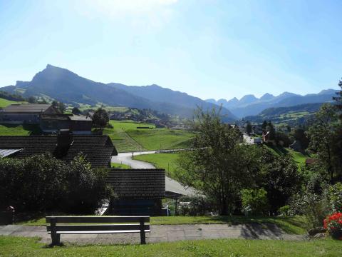 Dachgeschosswohnung mieten in Nesslau-Krummenau, 64 m² Wohnfläche, 2,5 Zimmer