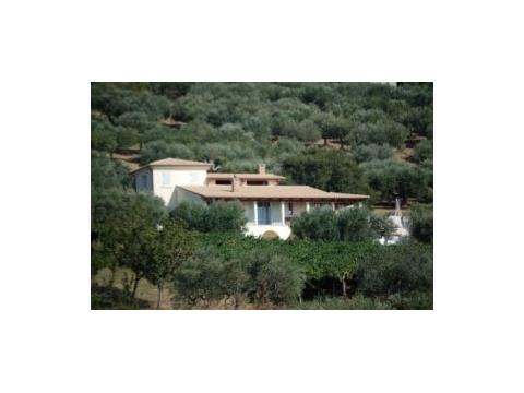 Villa kaufen in Guglionesi, mit Garage, 15.300 m² Grundstück, 310 m² Wohnfläche, 7 Zimmer