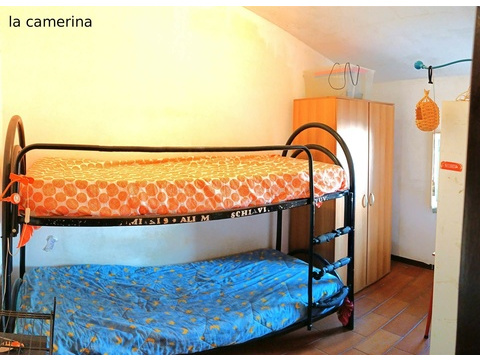 camerina