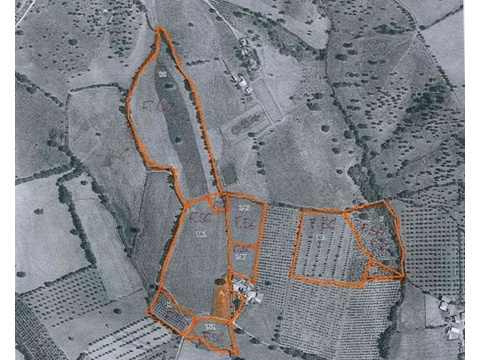 Gewerbegrundstück kaufen in Roselle, 185.000 m² Grundstück