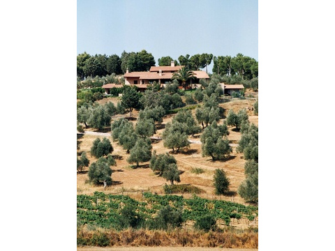 IMG-20241016-WA0006