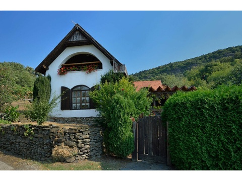 Zweifamilienhaus kaufen in Hegymagas, 4.500 m² Grundstück, 160 m² Wohnfläche, 5 Zimmer