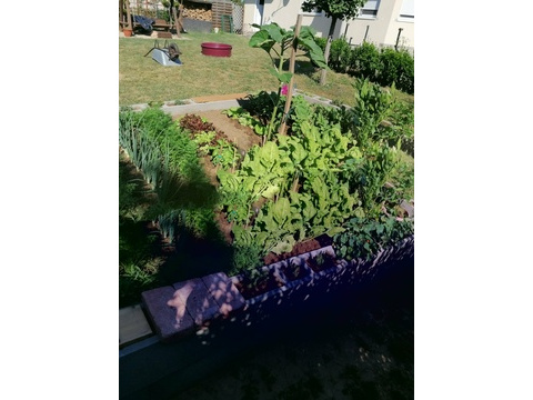 Hochbeet