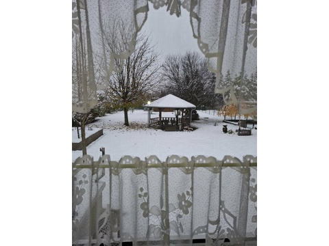 Blick in den Garten vom Wohnzimmer