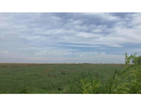 Freizeitgrundstück kaufen, 1.594 m² Grundstück