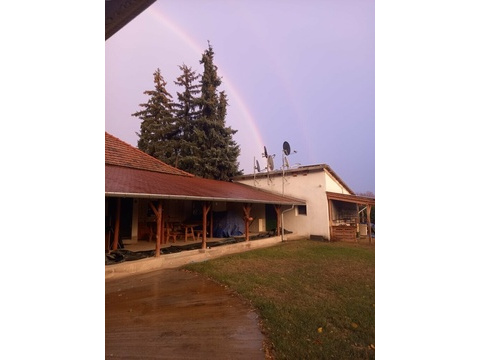 Haus