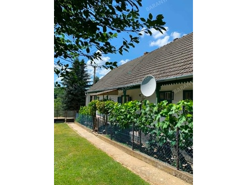 Bild 14