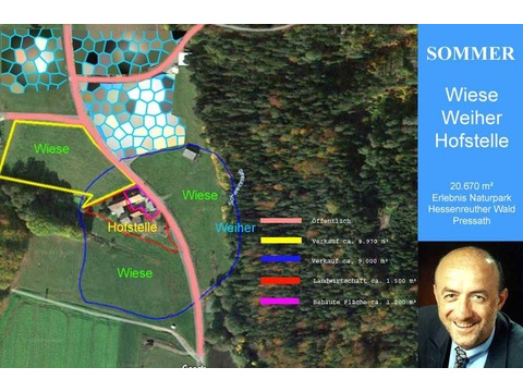 Land Forstwirschaft kaufen in Pressath, 20.670 m² Grundstück