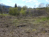 Wohngrundstück kaufen in Bad Eilsen, 8.316 m² Grundstück